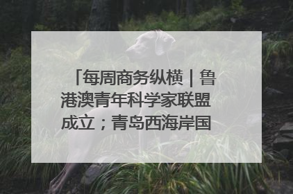 每周商务纵横｜鲁港澳青年科学家联盟成立；青岛西海岸国际能源自贸港启用