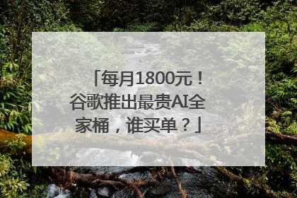 每月1800元！谷歌推出最贵AI全家桶，谁买单？