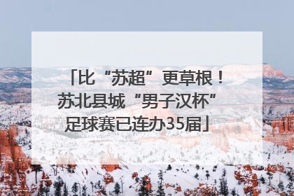 比“苏超”更草根！苏北县城“男子汉杯”足球赛已连办35届