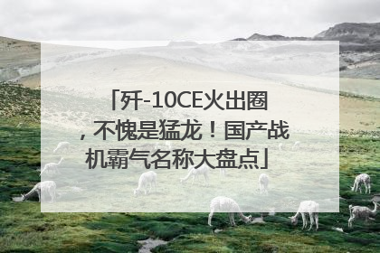 歼-10CE火出圈，不愧是猛龙！国产战机霸气名称大盘点