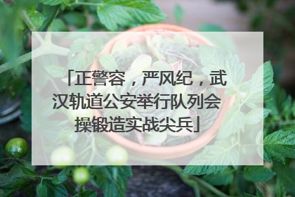 正警容，严风纪，武汉轨道公安举行队列会操锻造实战尖兵