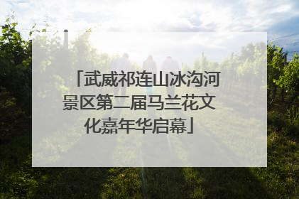 武威祁连山冰沟河景区第二届马兰花文化嘉年华启幕