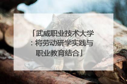 武威职业技术大学：将劳动研学实践与职业教育结合
