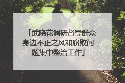 武晓花调研督导群众身边不正之风和腐败问题集中整治工作