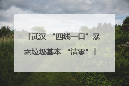 武汉 “四线一口”暴露垃圾基本 “清零”
