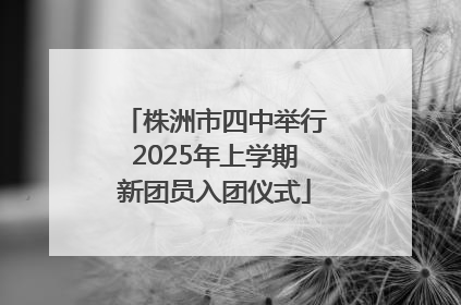 株洲市四中举行2025年上学期新团员入团仪式