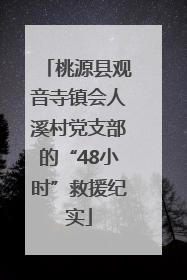 桃源县观音寺镇会人溪村党支部的“48小时”救援纪实