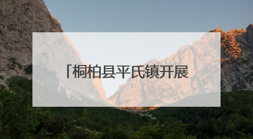 桐柏县平氏镇开展“六一”关爱活动 情暖童心助力成长