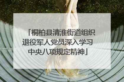 桐柏县清淮街道组织退役军人党员深入学习中央八项规定精神