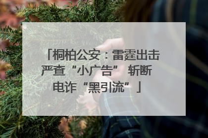 桐柏公安：雷霆出击严查“小广告” 斩断电诈“黑引流”