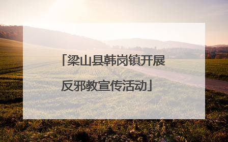 梁山县韩岗镇开展反邪教宣传活动