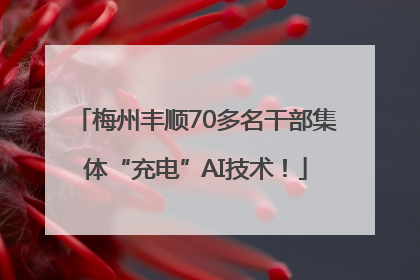 梅州丰顺70多名干部集体“充电”AI技术！