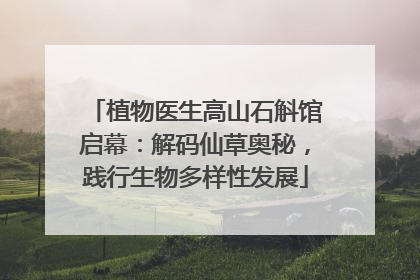 植物医生高山石斛馆启幕：解码仙草奥秘，践行生物多样性发展