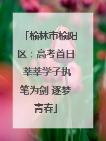 榆林市榆阳区：高考首日 莘莘学子执笔为剑 逐梦青春