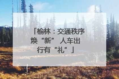 榆林：交通秩序焕“新” 人车出行有“礼”