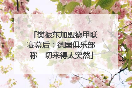 樊振东加盟德甲联赛幕后：德国俱乐部称一切来得太突然