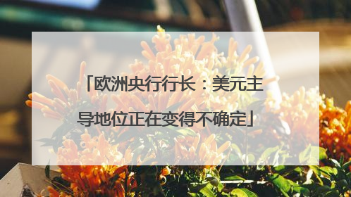 欧洲央行行长：美元主导地位正在变得不确定
