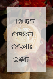 潍坊与跨国公司合作对接会举行