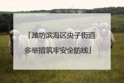 潍坊滨海区央子街道多举措筑牢安全防线