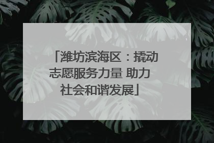 潍坊滨海区：撬动志愿服务力量 助力社会和谐发展