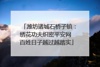 潍坊诸城石桥子镇：绣花功夫织密平安网 百姓日子越过越踏实