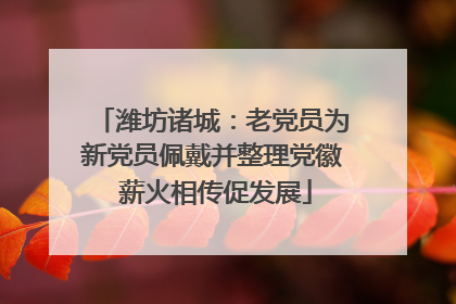 潍坊诸城：老党员为新党员佩戴并整理党徽 薪火相传促发展