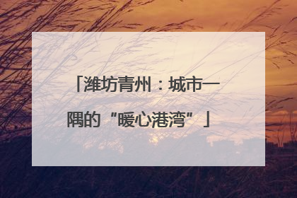 潍坊青州：城市一隅的“暖心港湾”