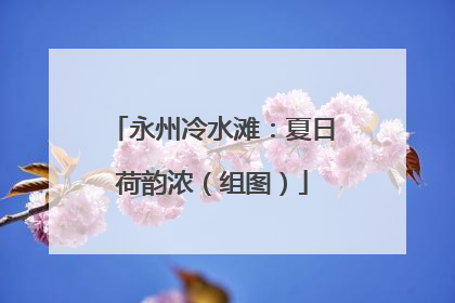 永州冷水滩：夏日荷韵浓（组图）