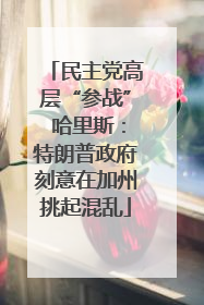民主党高层“参战” 哈里斯：特朗普政府刻意在加州挑起混乱