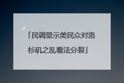 民调显示美民众对洛杉矶之乱看法分裂