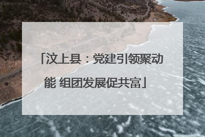 汶上县：党建引领聚动能 组团发展促共富