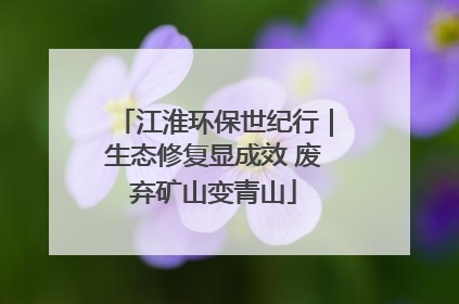 江淮环保世纪行｜生态修复显成效 废弃矿山变青山