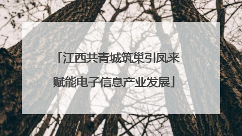 江西共青城筑巢引凤来 赋能电子信息产业发展