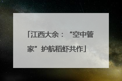 江西大余：“空中管家”护航稻虾共作