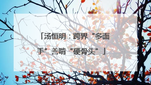汤恒明：跨界“多面手”善啃“硬骨头”