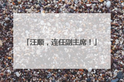 汪顺，连任副主席！