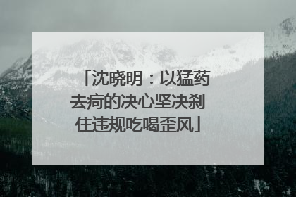 沈晓明：以猛药去疴的决心坚决刹住违规吃喝歪风