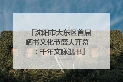 沈阳市大东区首届晒书文化节盛大开幕：千年文脉遇书