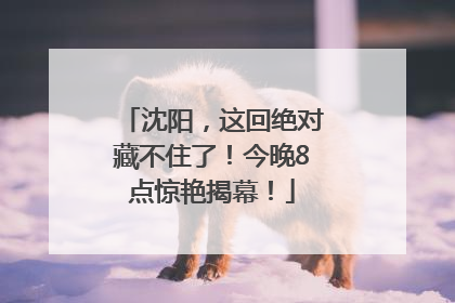沈阳，这回绝对藏不住了！今晚8点惊艳揭幕！