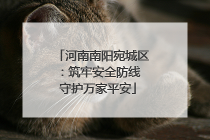 河南南阳宛城区：筑牢安全防线 守护万家平安