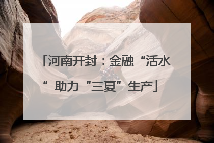 河南开封：金融“活水”助力“三夏”生产