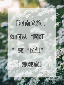 河南文旅，如何从“网红”变“长红”｜豫观察