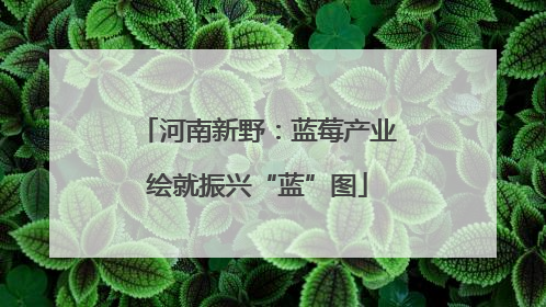河南新野：蓝莓产业绘就振兴“蓝”图
