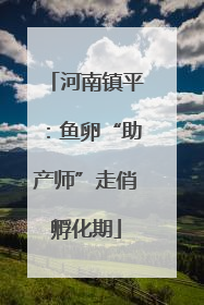 河南镇平：鱼卵“助产师”走俏孵化期