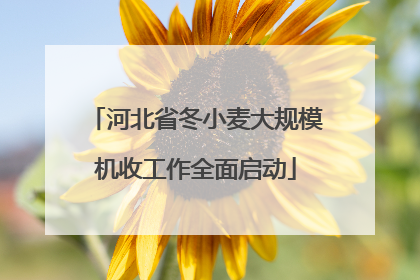 河北省冬小麦大规模机收工作全面启动