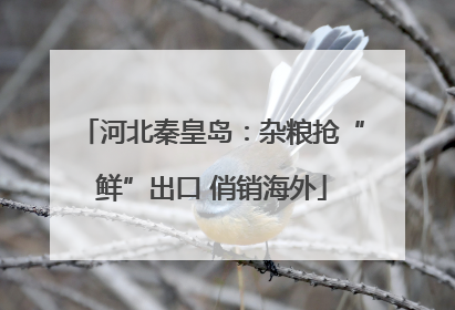 河北秦皇岛：杂粮抢“鲜”出口 俏销海外