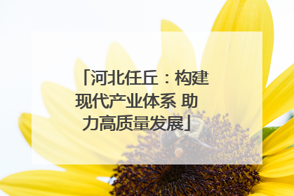 河北任丘：构建现代产业体系 助力高质量发展