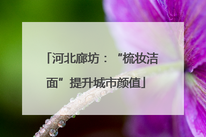 河北廊坊：“梳妆洁面”提升城市颜值