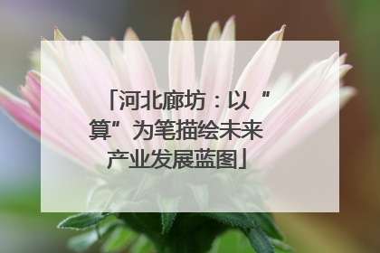 河北廊坊：以“算”为笔描绘未来产业发展蓝图
