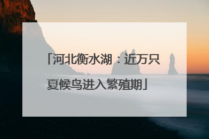 河北衡水湖：近万只夏候鸟进入繁殖期